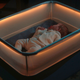 Illustration for article titled Ford Came Up With The Most Genius Solution For Getting Your Baby To Fall Asleepem/em